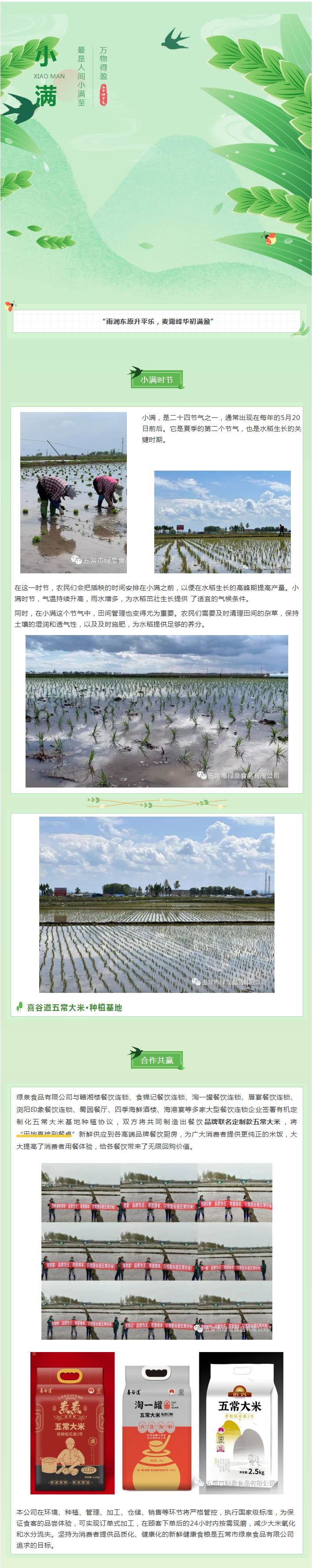 今日小滿，宜萬物生長！五常大米插秧的好時節.png